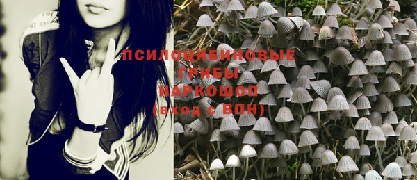 spice Козельск