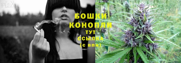 spice Козельск