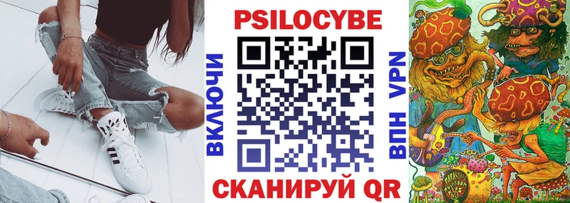 Купить где  Хабаровск  Псилоцибиновые грибы Psilocybine cubensis 